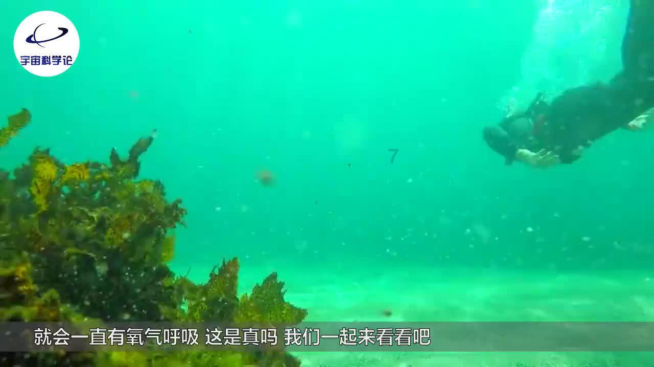 lpl买押注那个app靠谱点的